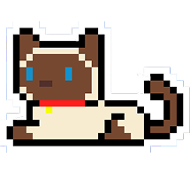 Calico cat