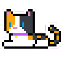 Calico cat